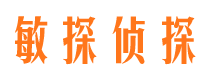 方山侦探公司